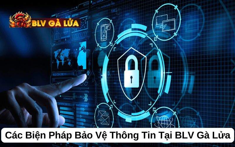 BLV Gà Lửa đưa ra nhiều biện pháp bảo vệ thông tin người dùng BLV Gà Lửa đưa ra nhiều biện pháp bảo vệ thông tin người dùng