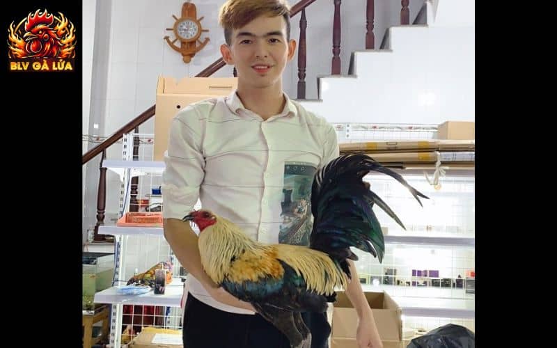 BLV Gà Lửa là bình luận viên CPC1 và CPC2 tại Sabong67 BLV Gà Lửa là bình luận viên CPC1 và CPC2 tại Sabong67