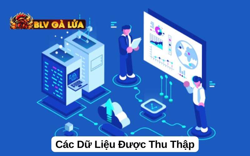 Các dữ liệu được thu thập khi tham gia tại BLV Gà Lửa Các dữ liệu được thu thập khi tham gia tại BLV Gà Lửa