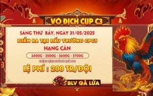 giải vô địch cup CPC3 ngày 31/05/2025