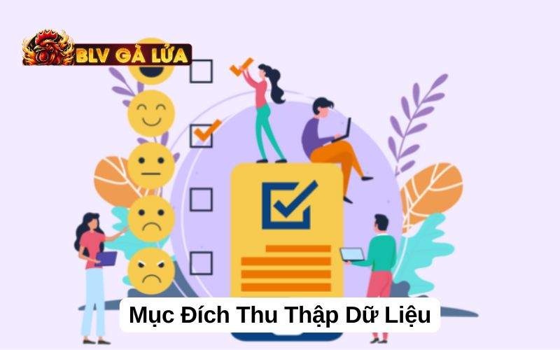 Mục đích thu thập và sử dụng dữ liệu Mục đích thu thập và sử dụng dữ liệu