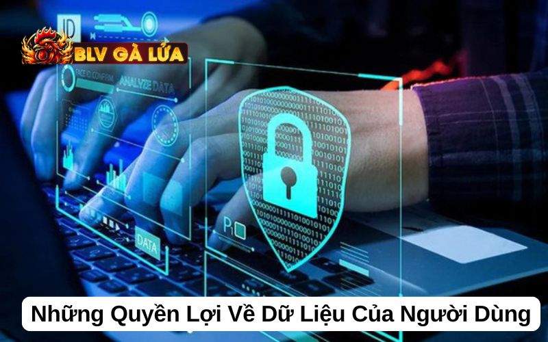Những quyền lợi của người dùng với dữ liệu của mình tại BLV Gà Lửa Những quyền lợi của người dùng với dữ liệu của mình tại BLV Gà Lửa