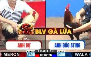 Trận 18 CPC2 Ngày 23/05/2025
