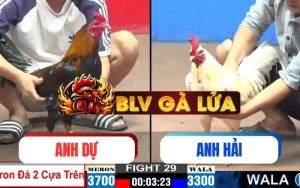 Trận 29 CPC2 Ngày 23/05/2025