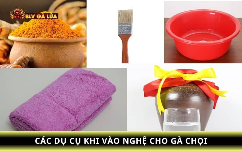Các dụng cụ vào nghệ cho gà chọi bạn cần chuẩn bị