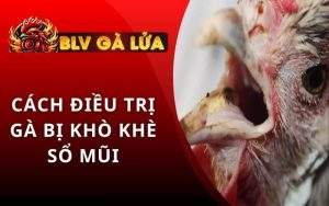 Gà Bị Khò Khè Sổ Mũi