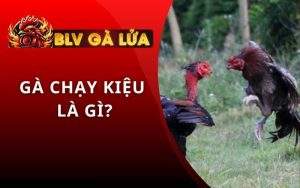 Gà Chạy Kiệu Là Gì
