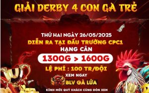 Giải Derby 4 con gà trẻ tại CPC1