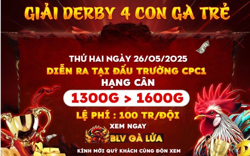 Giải Derby 4 con gà trẻ tại CPC1 Giải Derby 4 con gà trẻ tại CPC1