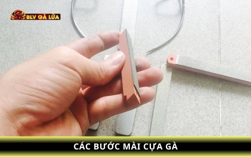 Hướng dẫn cách mài cựa gà