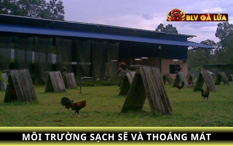 Môi trường sống và lịch trình sinh hoạt Môi trường sống và lịch trình sinh hoạt