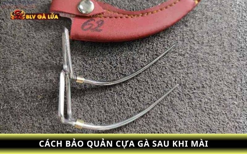 Những cách bảo quản cựa sau khi mài