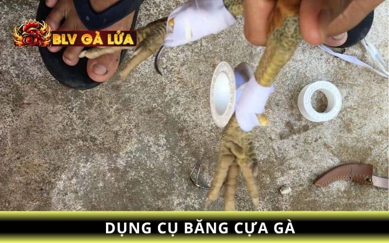 Những dụng cụ để băng cựa gà Những dụng cụ để băng cựa gà