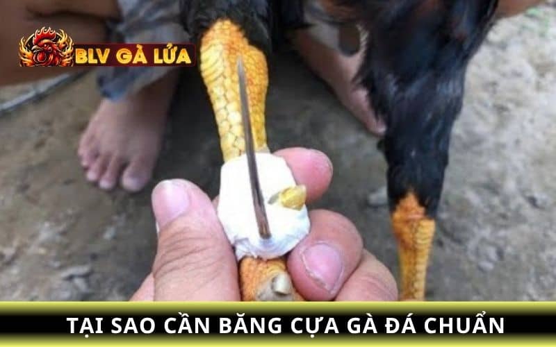 Tăng khả năng tấn công và cơ hội chiến thắng cao Tăng khả năng tấn công và cơ hội chiến thắng cao