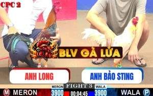 Trận 3 CPC2 Ngày 01/06/2025