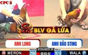 Trận 8 CPC2 Ngày 01/06/2025