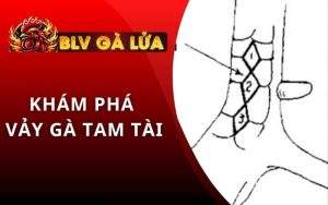 Vảy Tam Tài