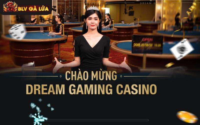 Dealer người Việt xinh đẹp và chuyên nghiệp Dealer người Việt xinh đẹp và chuyên nghiệp