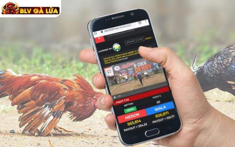 Giao diện đặt cược được thiết kế trực quan Giao diện đặt cược được thiết kế trực quan